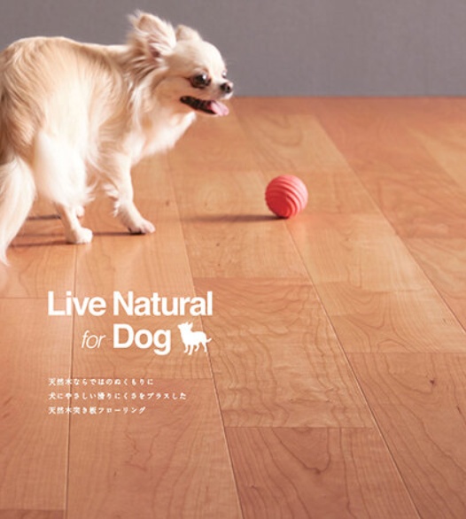リビングの床材にはペットが滑りにくい床材が施工されています リビング